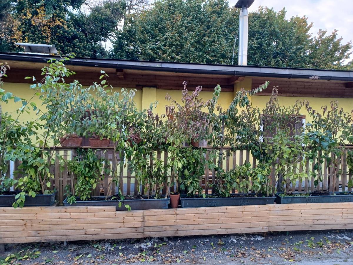 Binderhaeusl Villa Salzburg Dış mekan fotoğraf